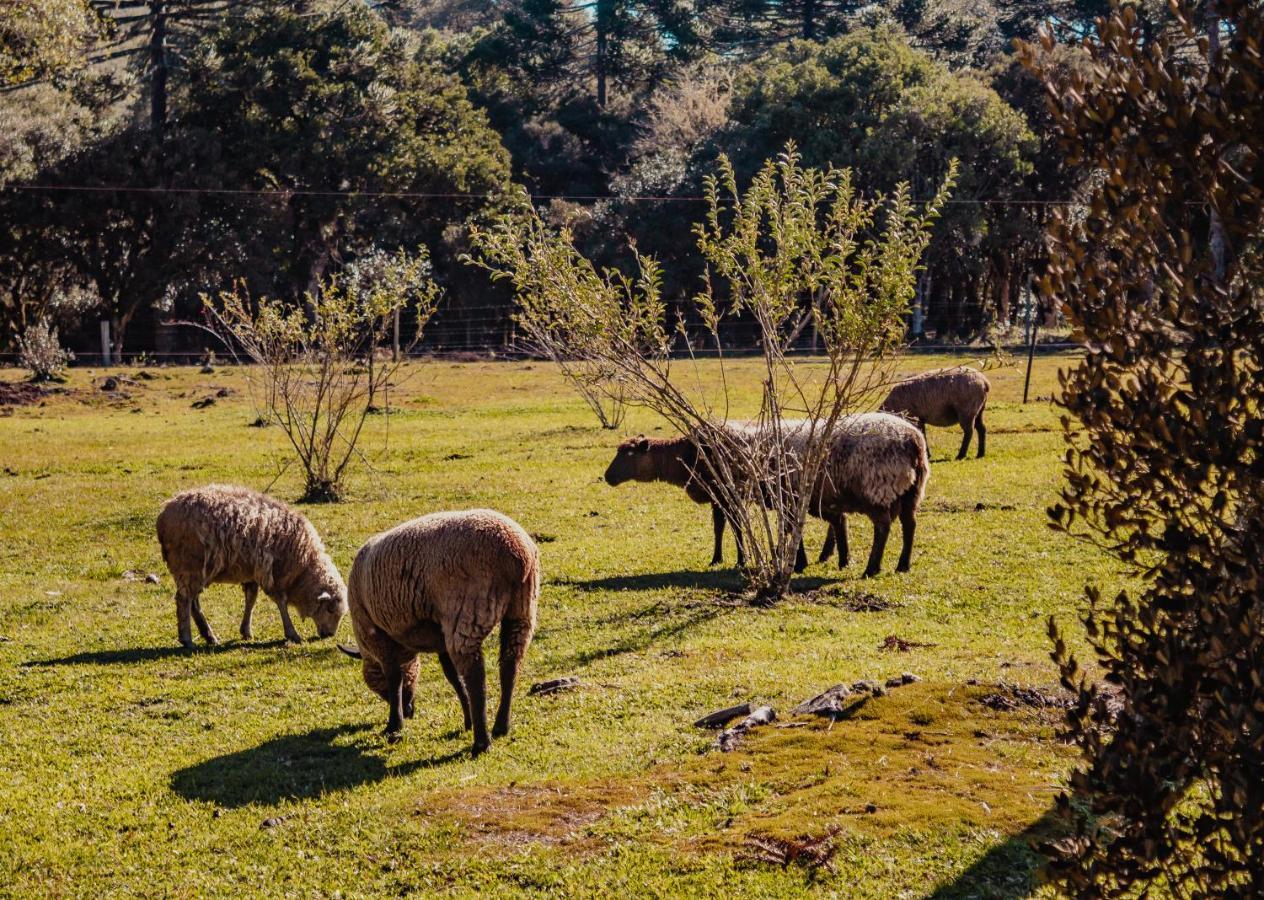 Pousada Lago Da Colina Urubici Εξωτερικό φωτογραφία
