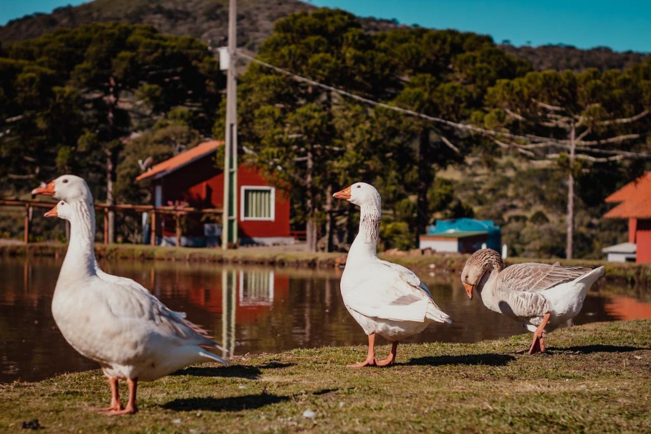 Pousada Lago Da Colina Urubici Εξωτερικό φωτογραφία